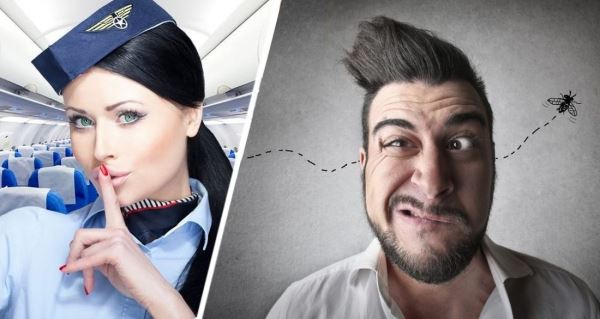 Стюардессы опубликовали список самых глупых вопросов, которые им задают пассажиры