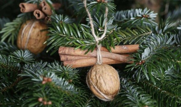 Тёмные прародители новогодних традиций: откуда взялись Дед Мороз и праздничная ель