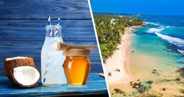 Российские туристы попались на развод с «кокосовым медом» на Шри-Ланке и описали подробности