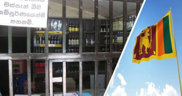 Российские туристы рассказали про цены на алкоголь в Шри-Ланке и где его там можно купить